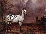 Paulus Potter Canvas Paintings - The Spotted Horse